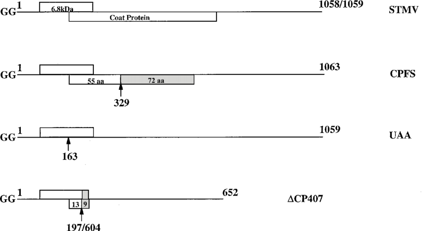 Download (850x465), Png Download