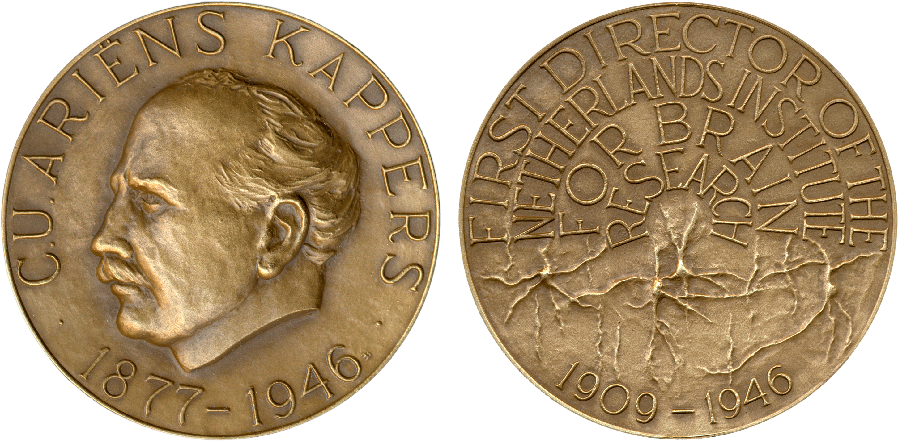 Ariëns Kappers Medal (3000x1500), Png Download