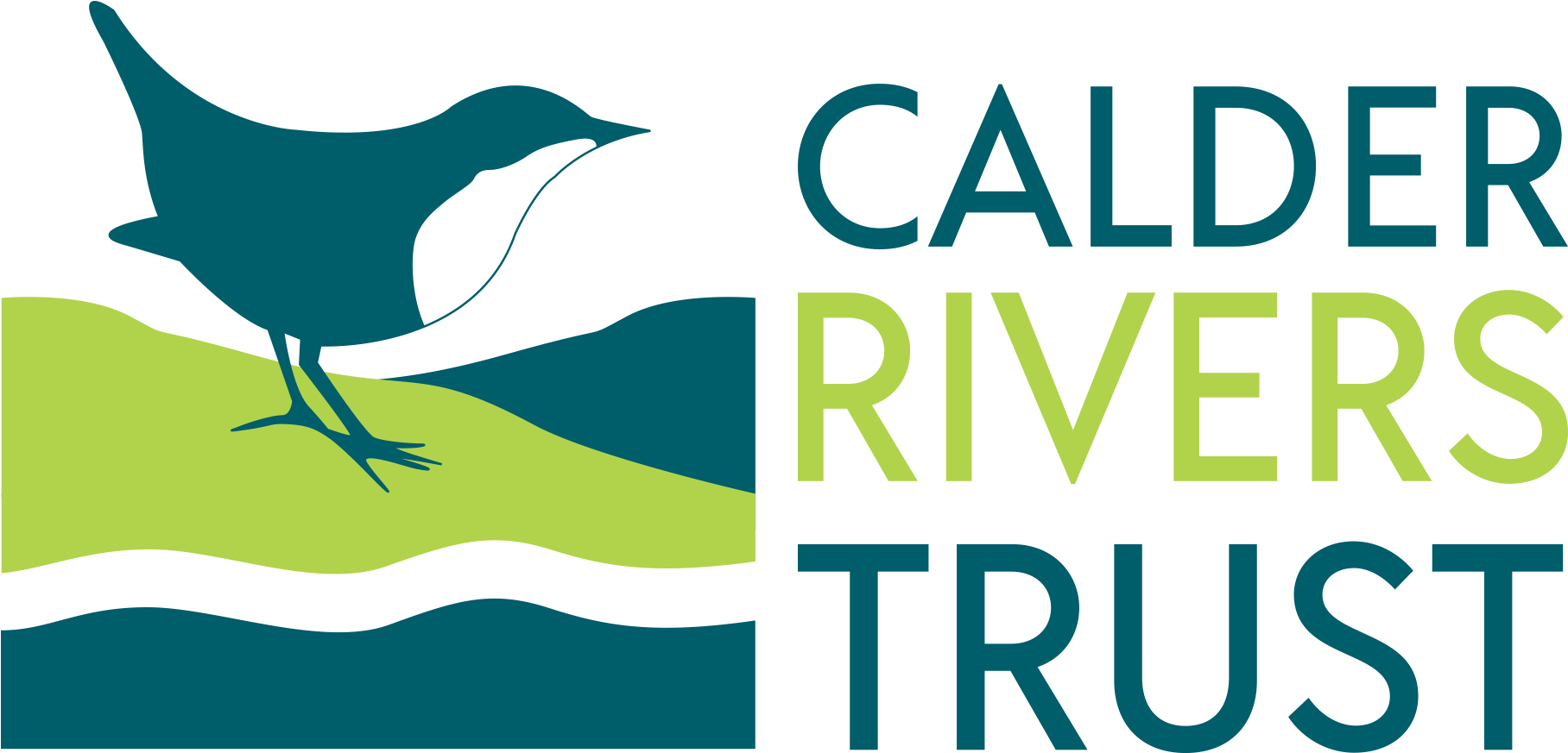 Crt Colour Logo Web Transparent 1 (1920x1080), Png Download