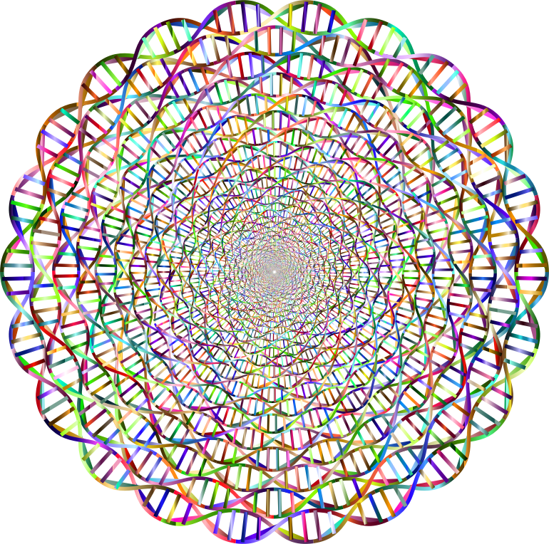 Medium Image (770x764), Png Download