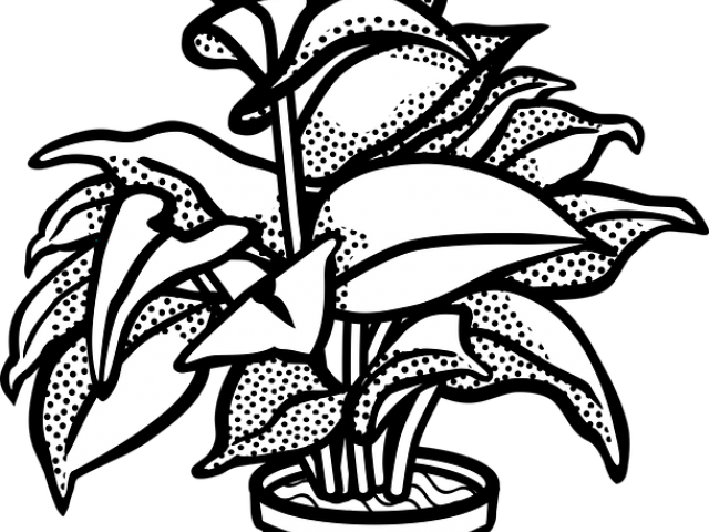 Potted Plants Clipart Drawn (640x480), Png Download