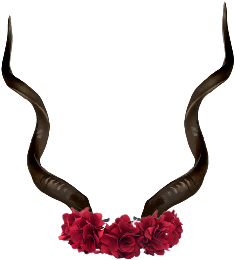 Cuernos Png (1024x1024), Png Download