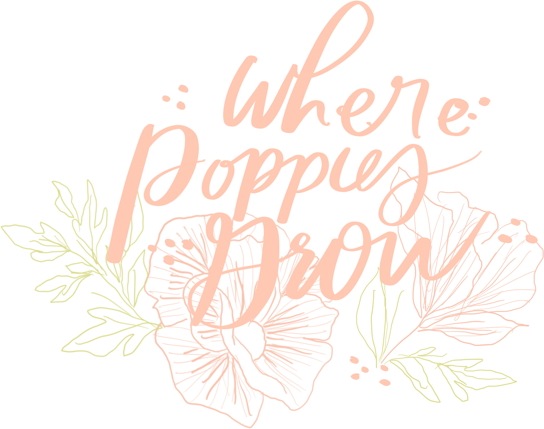 Shop My Instagram (3450x1541), Png Download