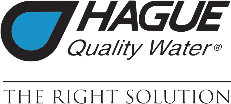 Hague Logo- The Right Solution (1000x561), Png Download