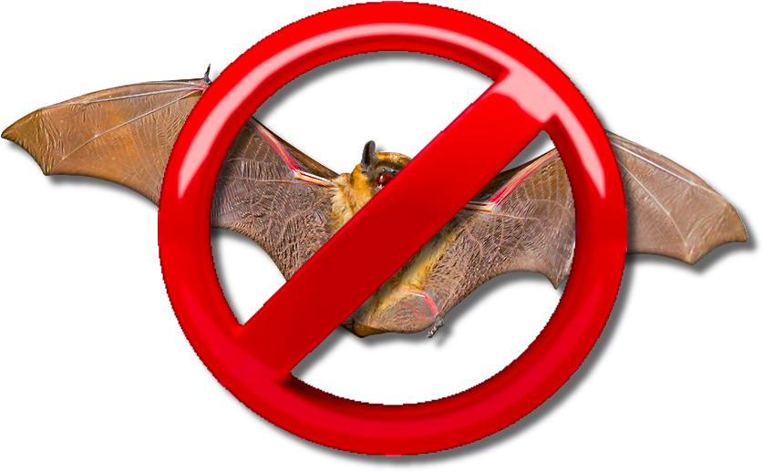 Nobats (860x550), Png Download