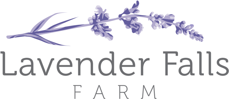 Lavender Sprig Png (1000x463), Png Download