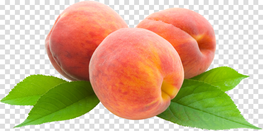Peach Clipart Png (900x450), Png Download