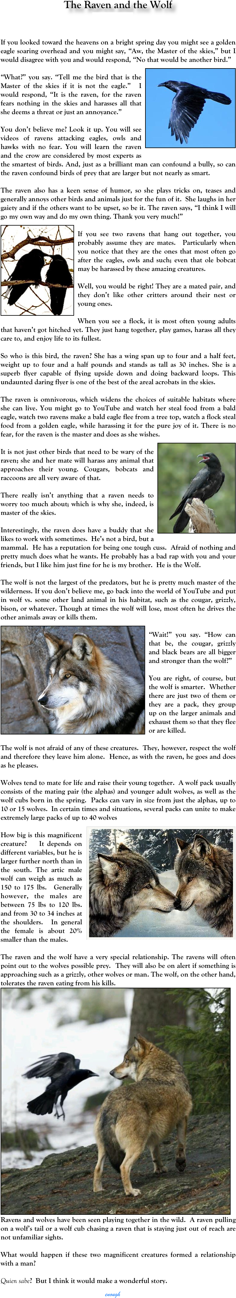 The Raven And The Wolf Mick Stratton Mstratton@hlkn (1692x5533), Png Download