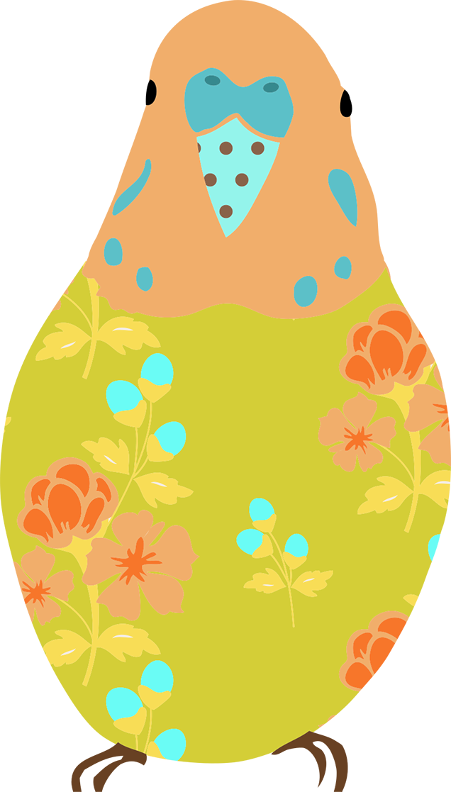 Budgie Clipart Transparent (636x1117), Png Download