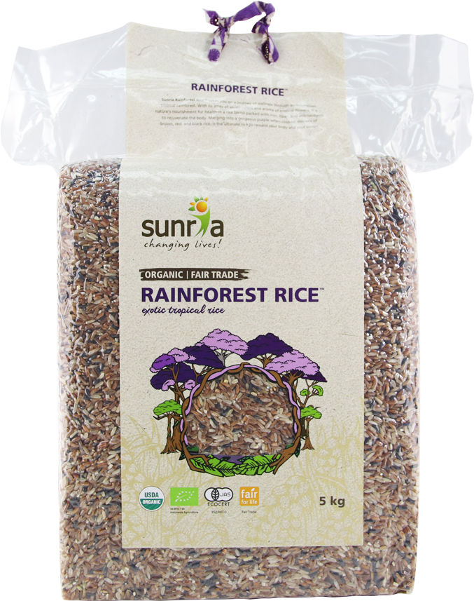 Rainforest Png (1000x1000), Png Download