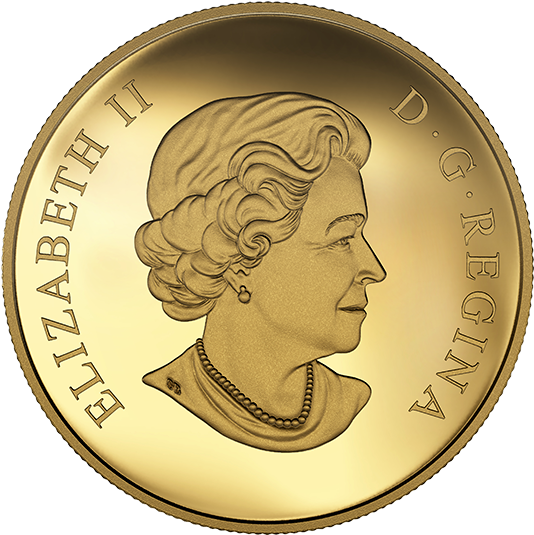 Picture Of (570x570), Png Download