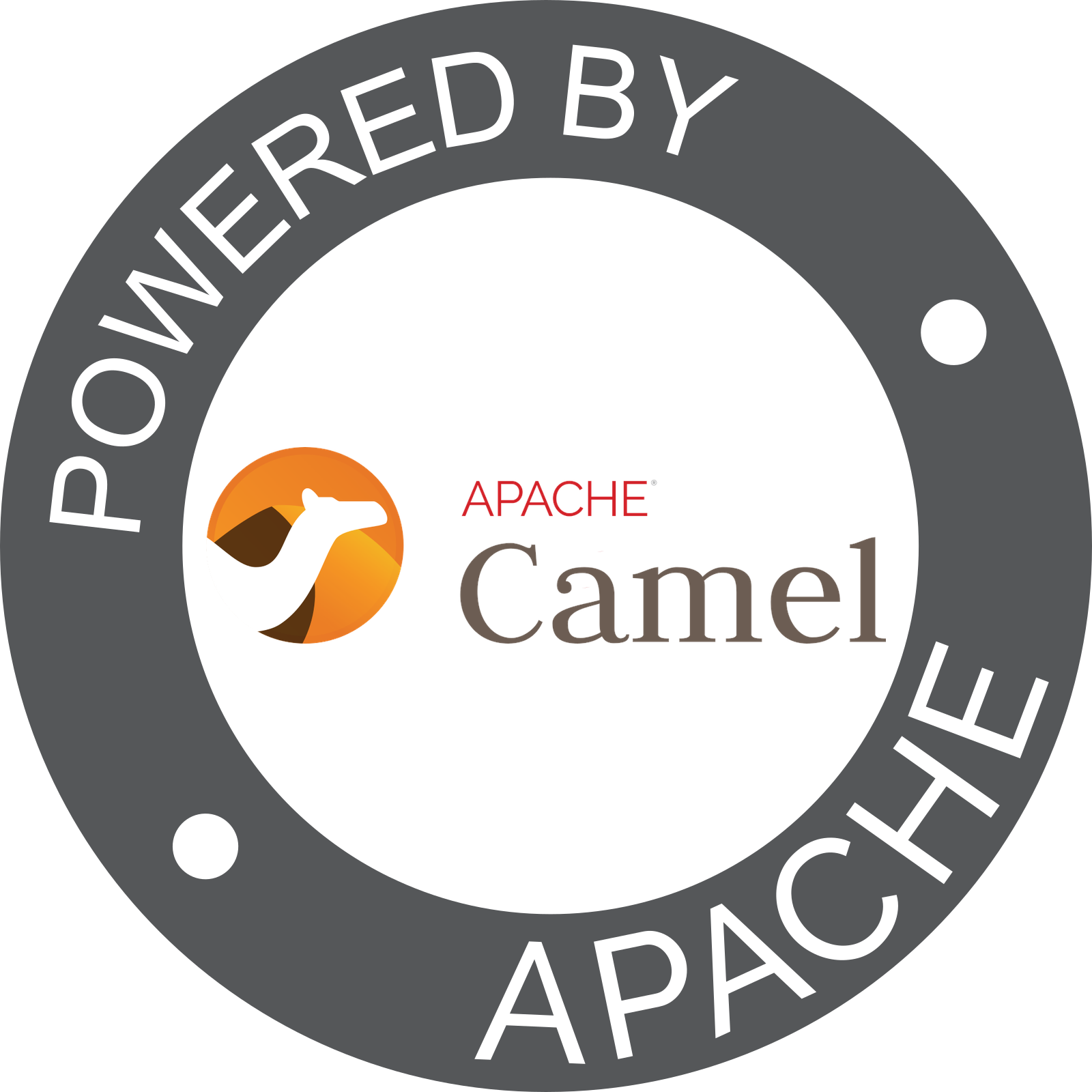 Camel (1600x1600), Png Download