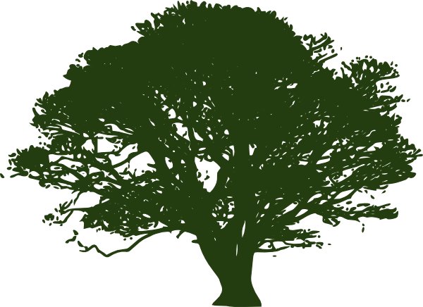 Wetlands - Oak Tree Silhouette (600x436), Png Download