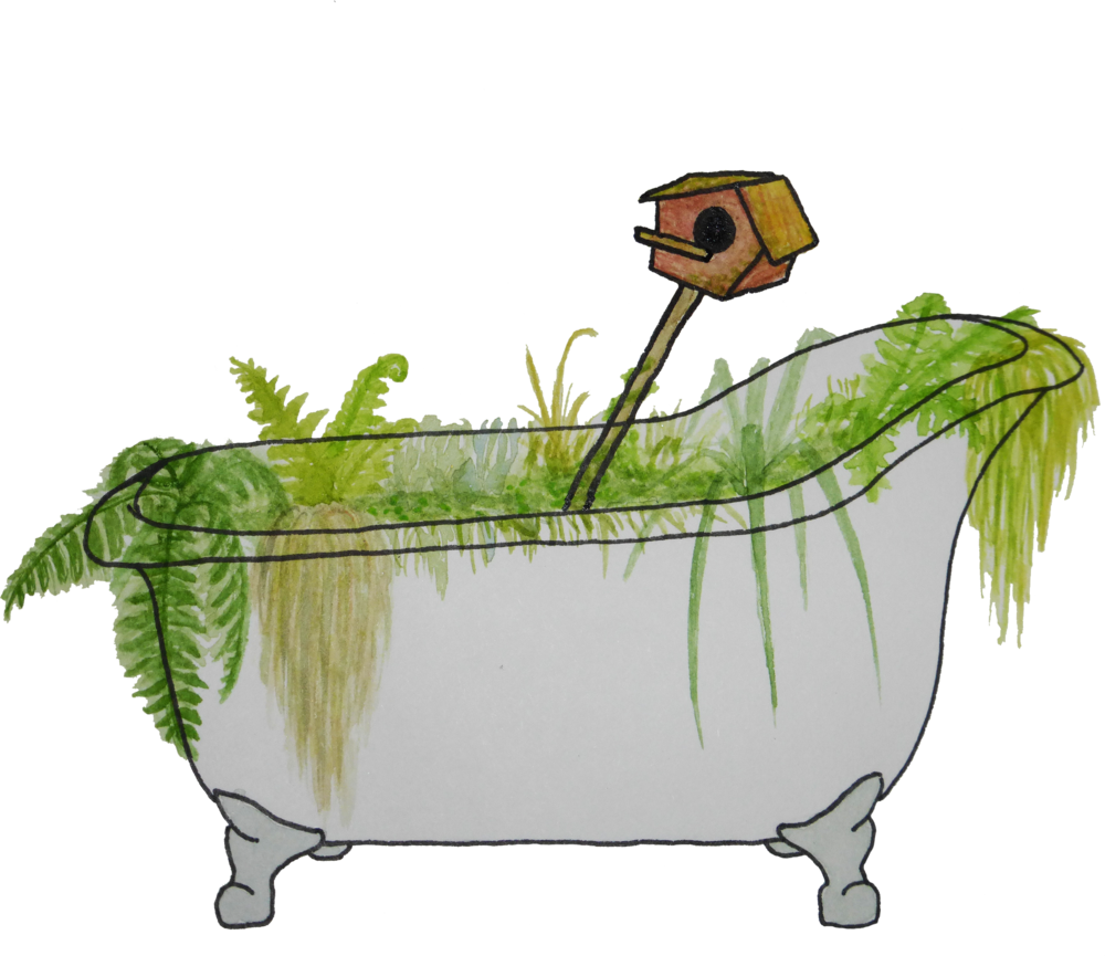 Garden Tuba Watercolor And Ink Stylistic Experiment (1000x865), Png Download