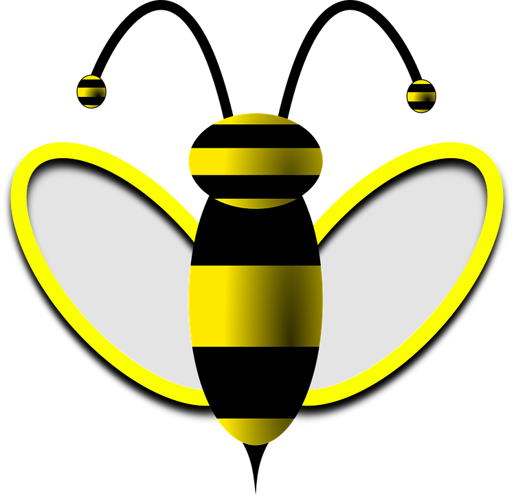 Bees Clipart Summer - Drone Bee (748x720), Png Download