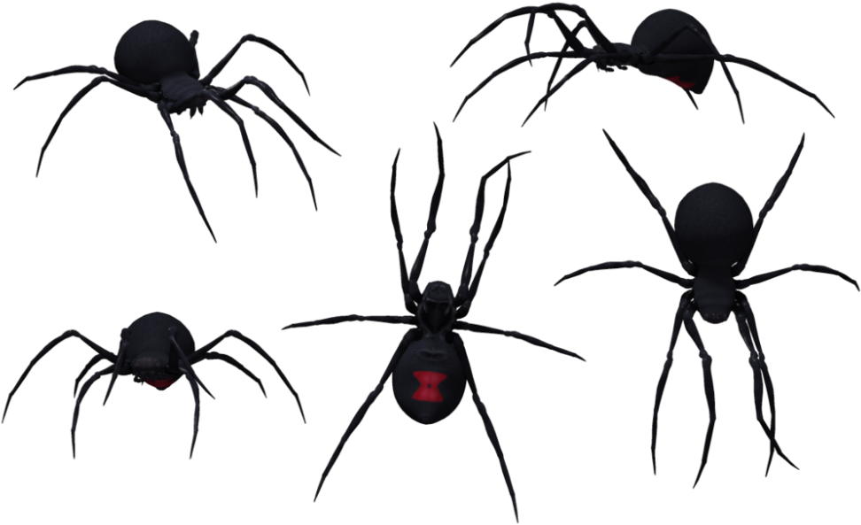 Download Black Widow Spider 075 - Group Of Black Widow Spiders (1000x624), Png Download