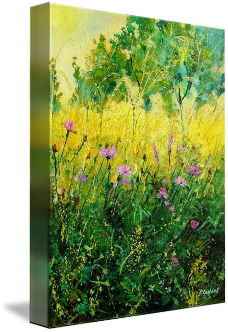 Landscape Field Flowers Cornflowers - Pol Ledent (447x650), Png Download