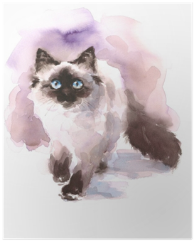Watercolor Siamese Ragdoll Cat Walking Looking Up Hand - Watercolor Paintings Of Birman Cats (400x400), Png Download