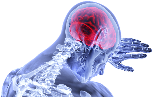 Brain, Inflammation, Stroke, Medical - Brain (564x340), Png Download