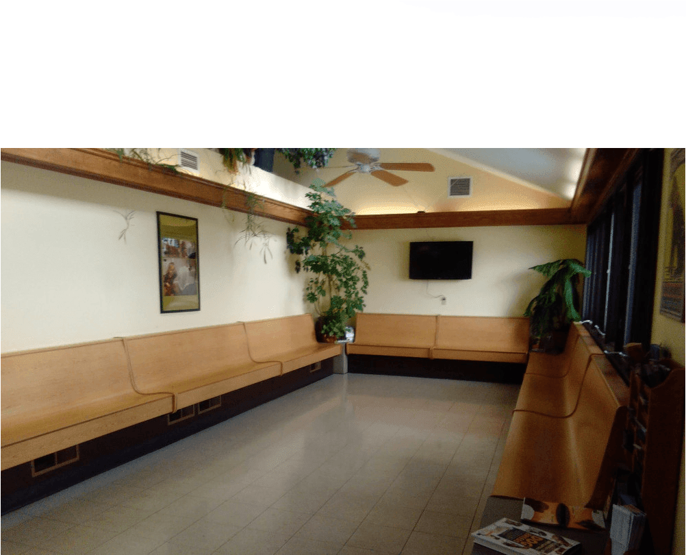Lobby At Fort Wayne Animal Hospital (1002x1024), Png Download