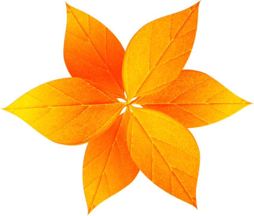 Free Png Fall Leaves Decoration Png Images Transparent (850x722), Png Download