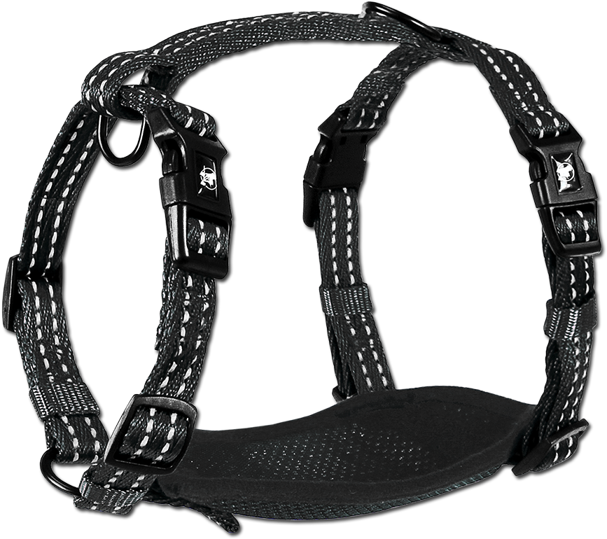 Adventure Harnesses (1000x1000), Png Download