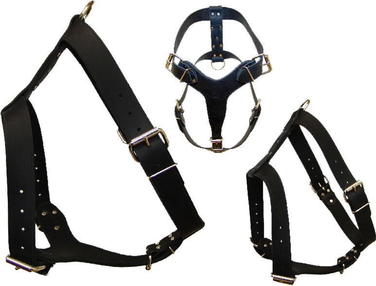 Harness Png (799x612), Png Download