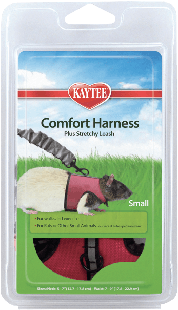 Harness Png (750x750), Png Download