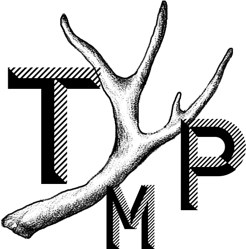 Coachella Logo Png (566x595), Png Download