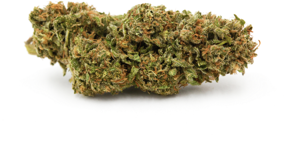 Blue Magoo - (1000x667), Png Download