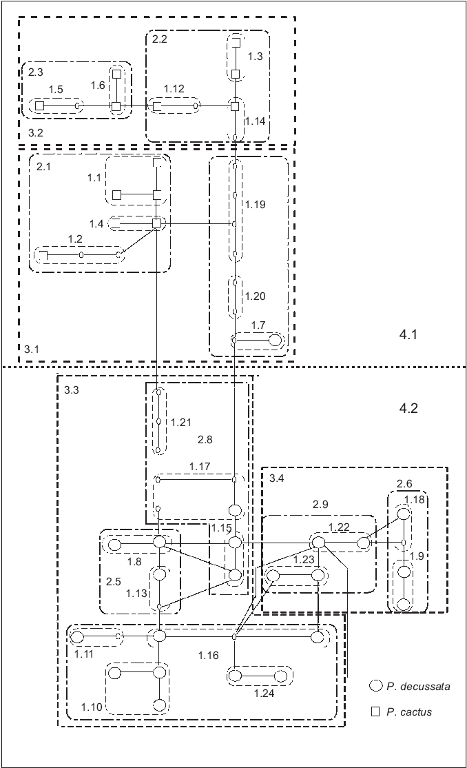 Haplotype Tree And Nested Clade Design For The Its (699x1148), Png Download