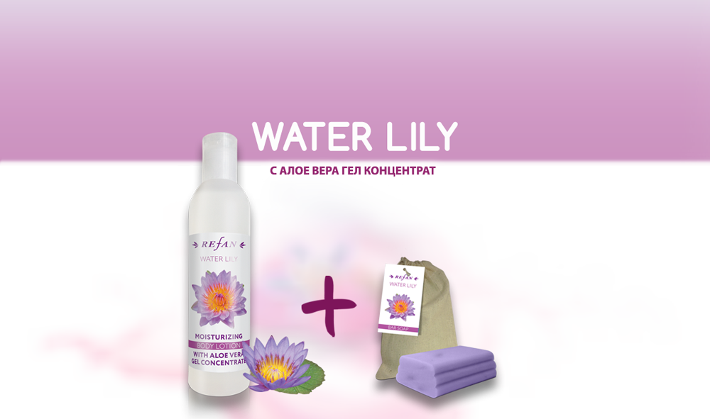 06245 Série Water Lily (1000x591), Png Download