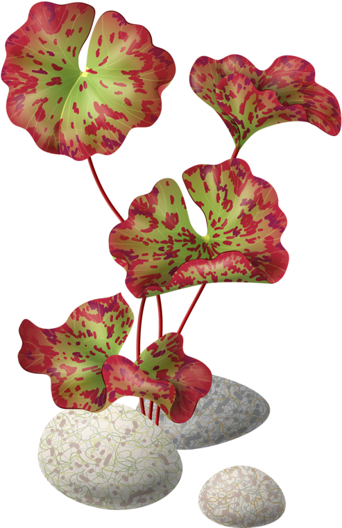 Flower Cliparttree (510x800), Png Download