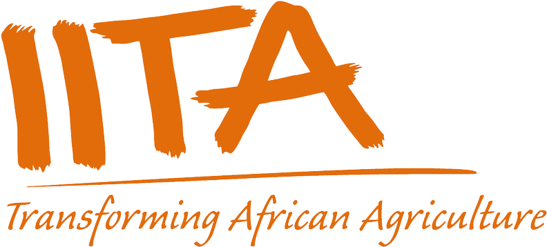 Iita (820x387), Png Download