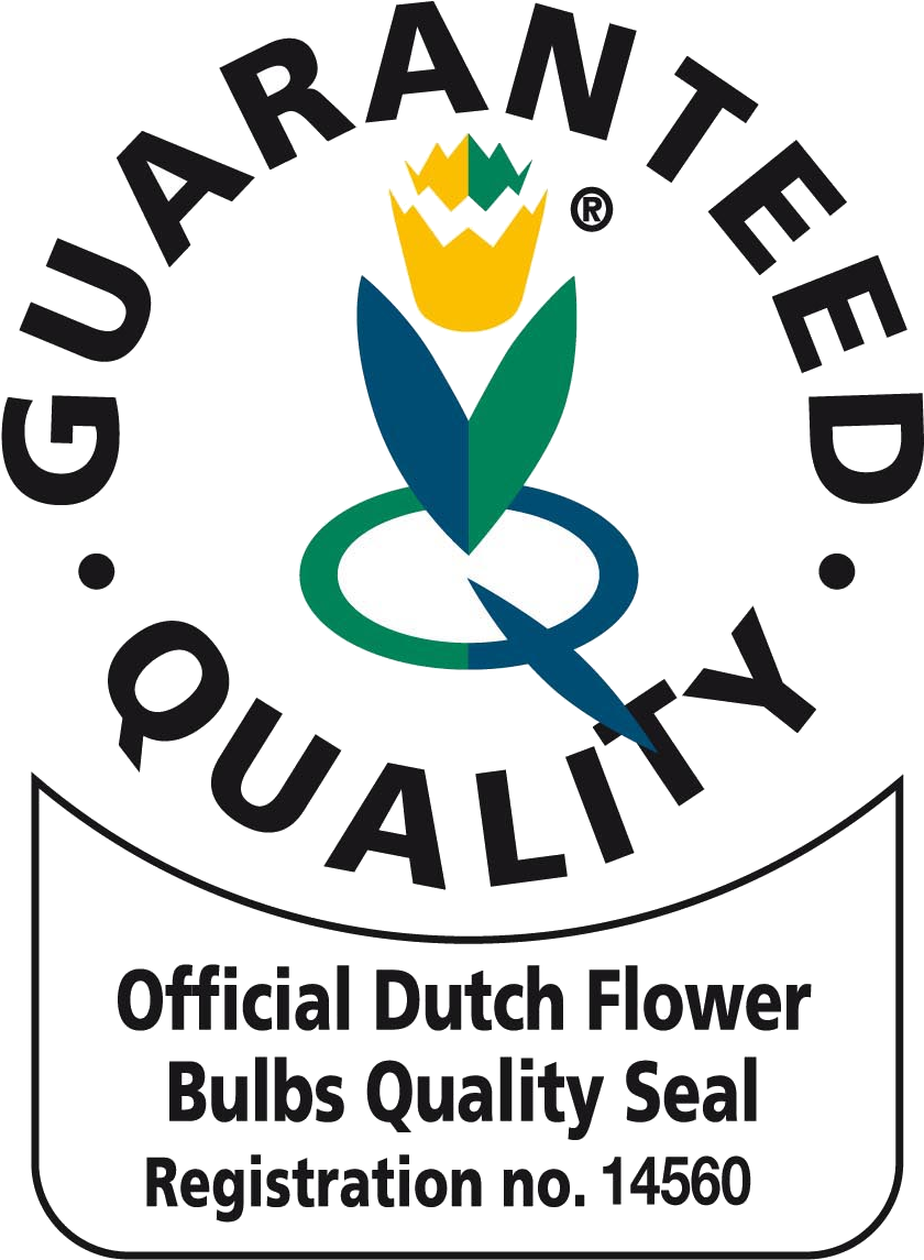 Quality Seal Png (945x1358), Png Download