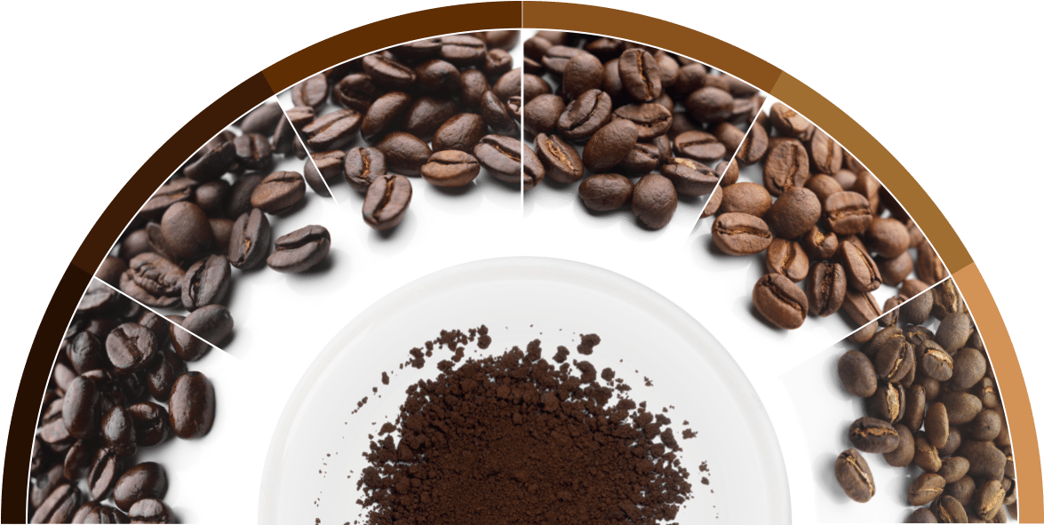 Coffee Flavour Wheel (1600x607), Png Download