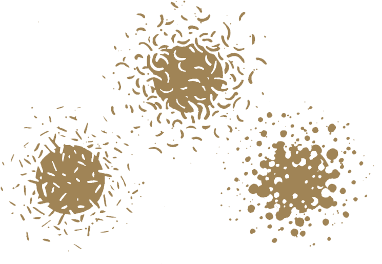 Trans Sandblobs (781x702), Png Download