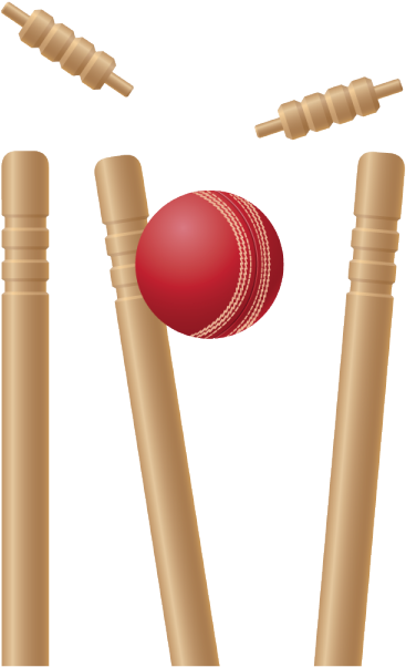 The Cricket Ball Hit The Middle Stump (600x615), Png Download