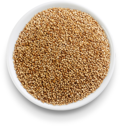 Toasted Sesame Seeds (600x600), Png Download