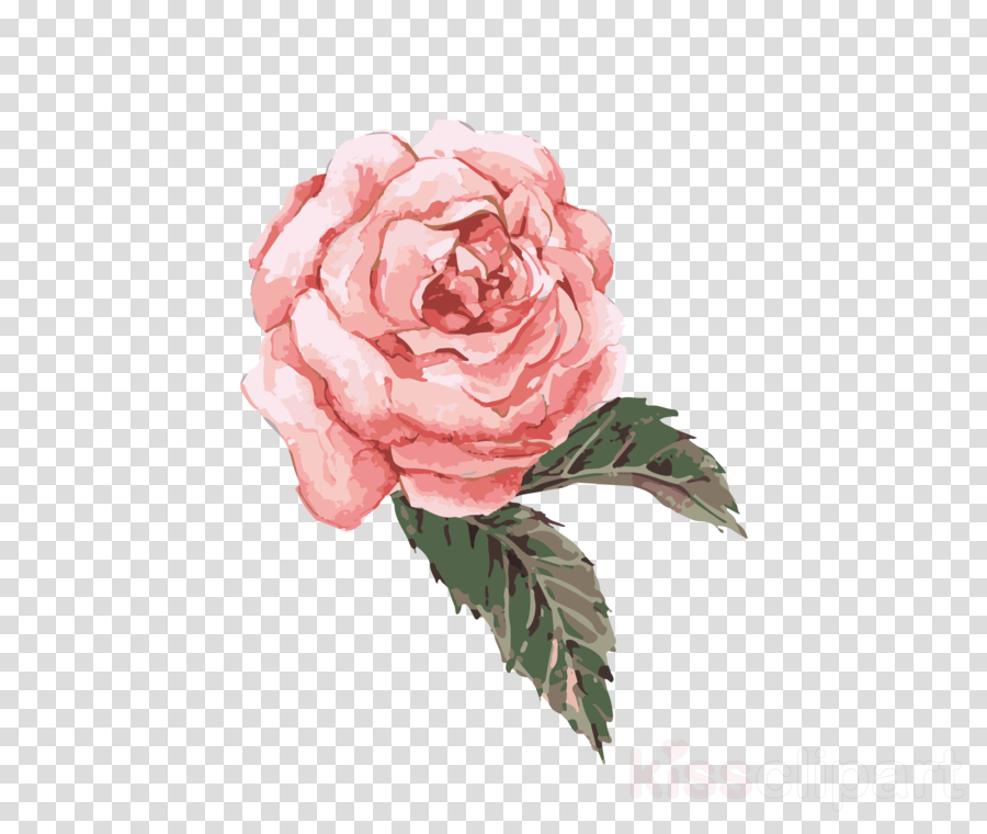 Flower Watercolor Painting Png Clipart Watercolor (900x760), Png Download