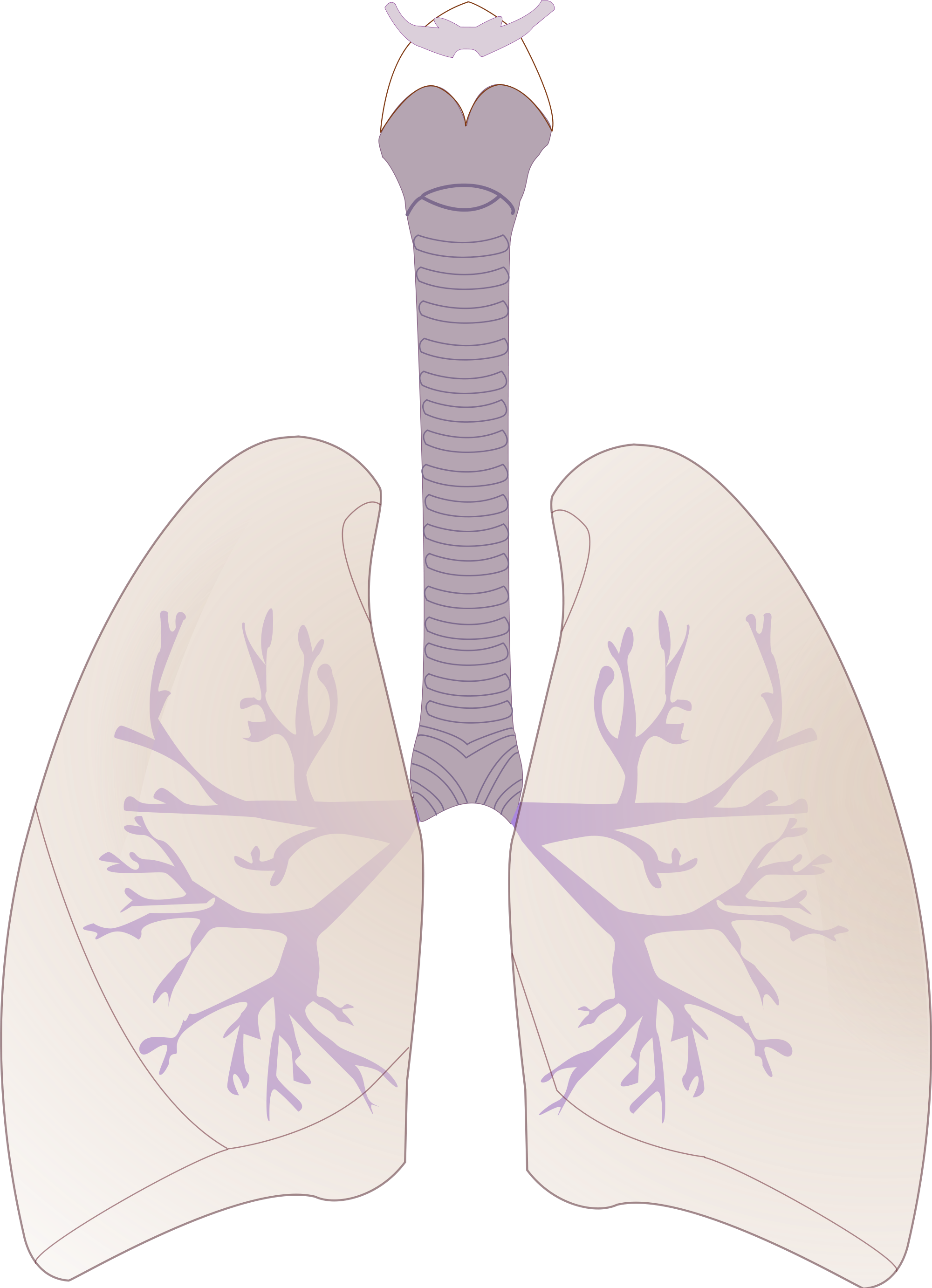 Open (2000x2764), Png Download