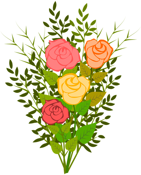 Roses, Flowers, Floral, Flowery, Branch, Plants, Garden (506x640), Png Download