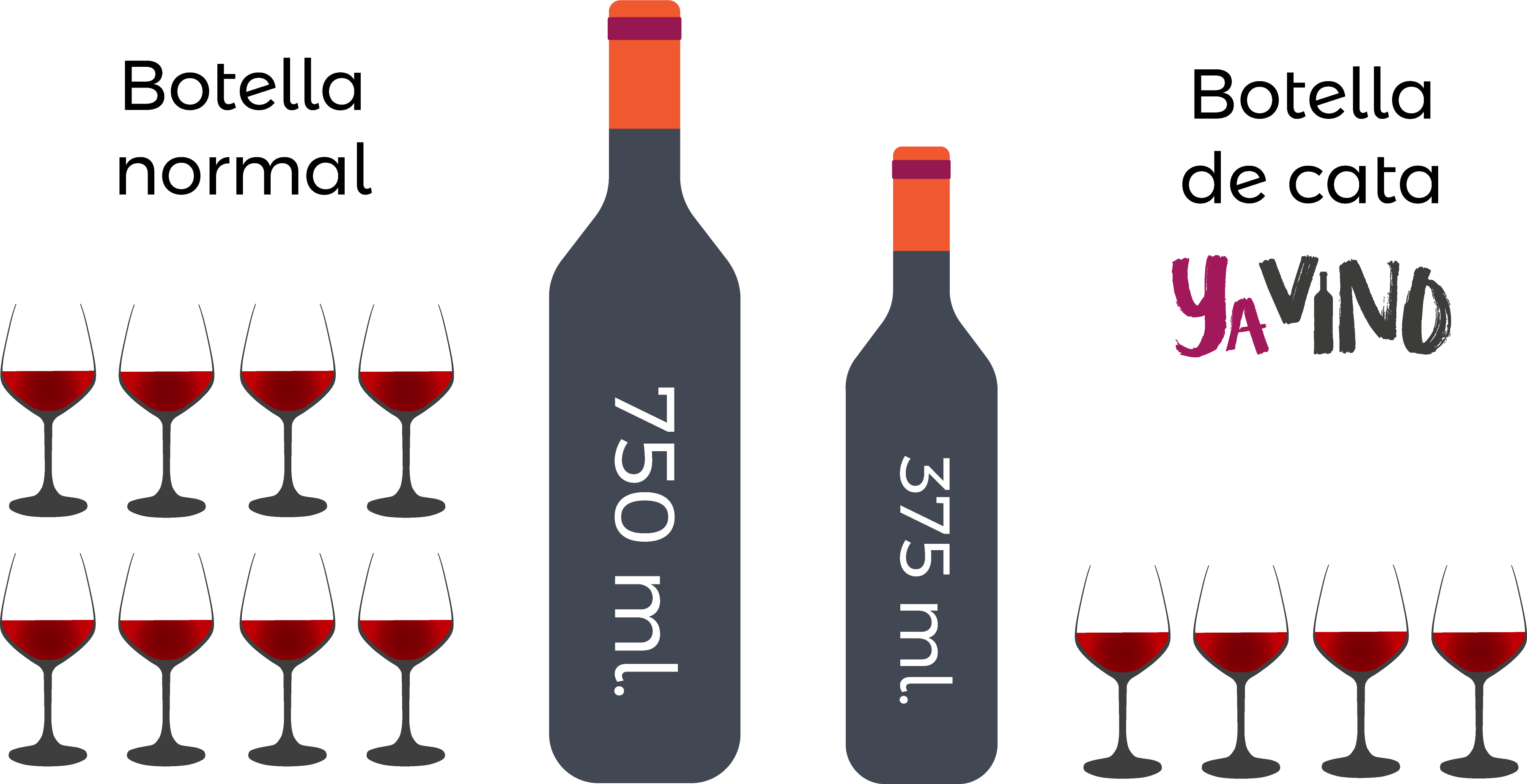 4 Copas De Vino Por Botella De Cata (3611x1854), Png Download