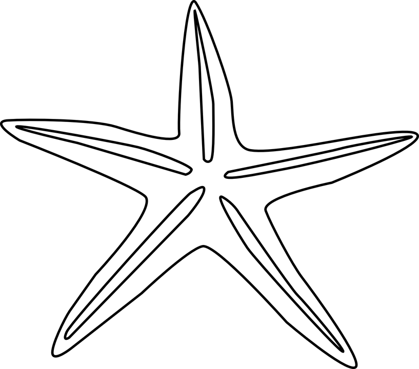 Estrella Fugaz Png (817x720), Png Download