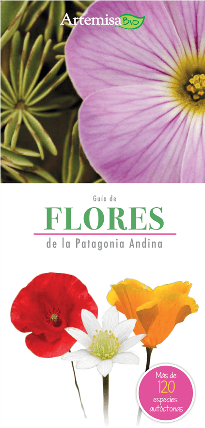 Tapa Flexible Con Solapadas (570x881), Png Download