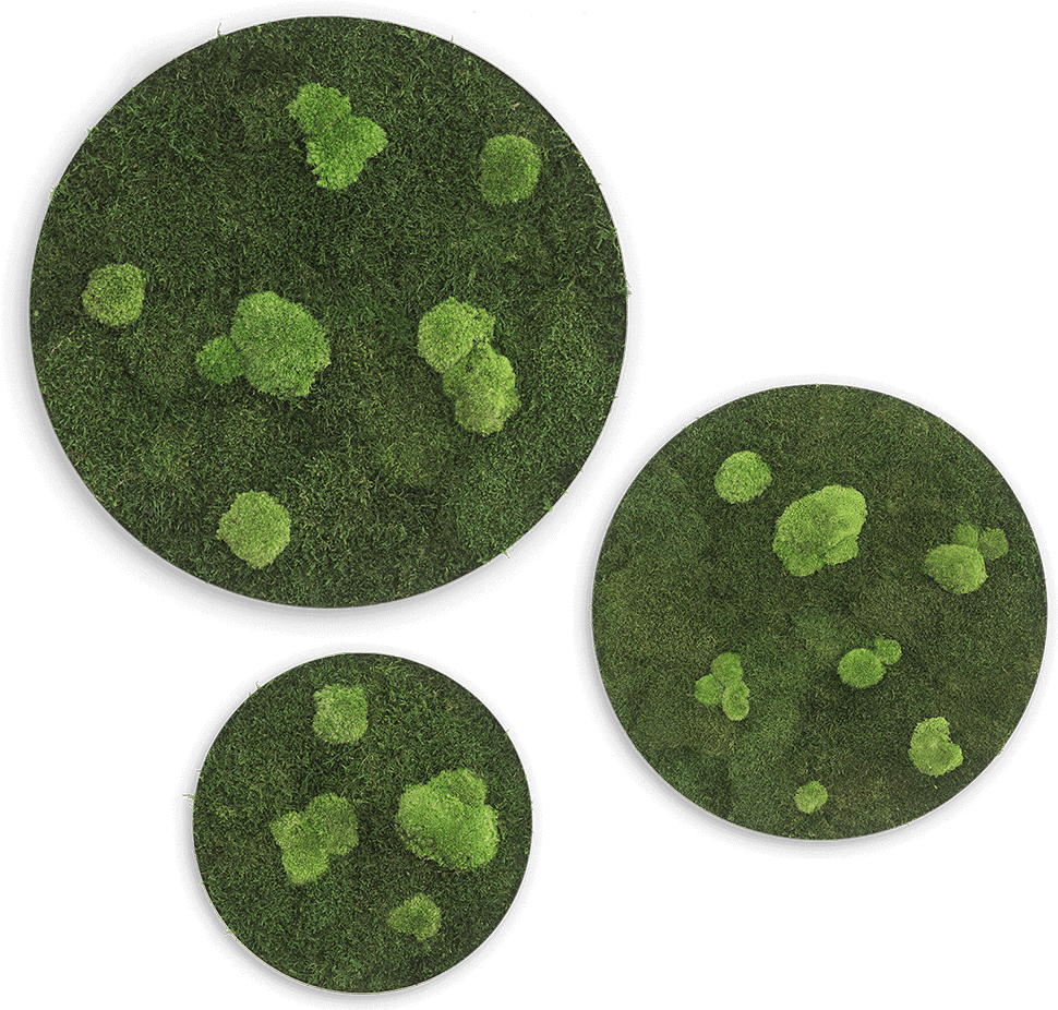 Flat (1000x1000), Png Download