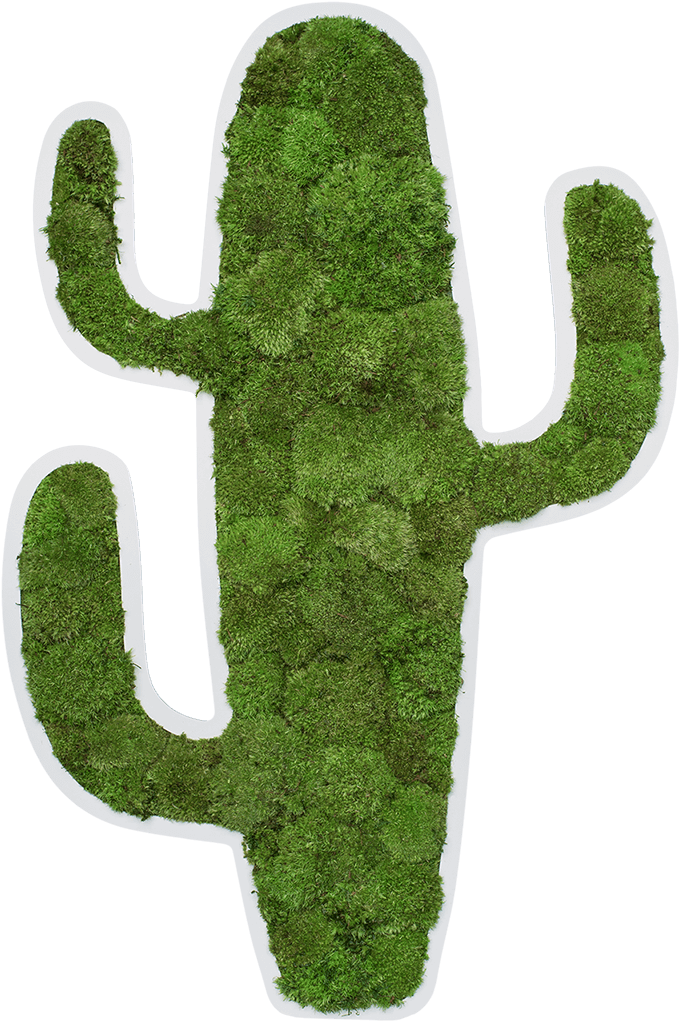 Moños Png (800x1198), Png Download