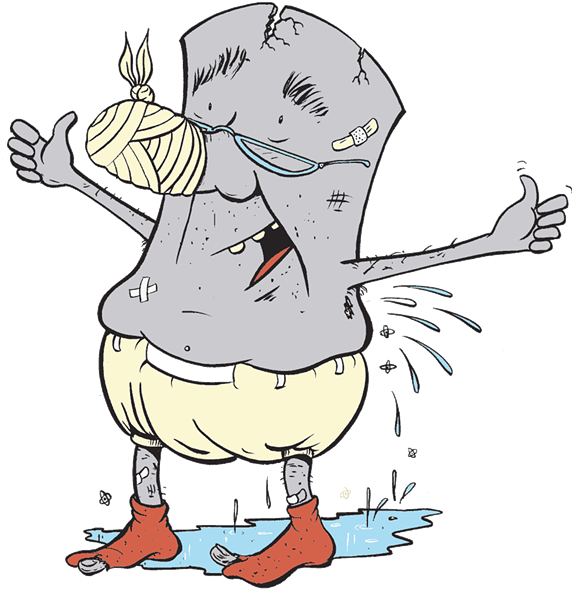 2010 Vtyankee Newcomb (571x600), Png Download