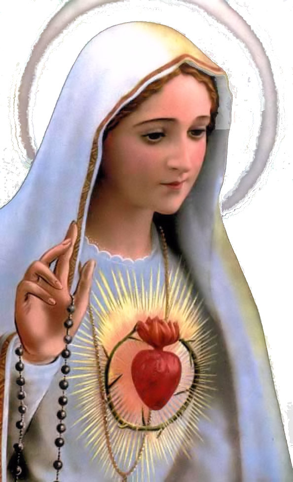 Virgen De Fatima Png (594x976), Png Download