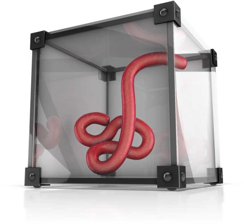 Ebola Virus Contained 800 Clr 15673 (800x739), Png Download